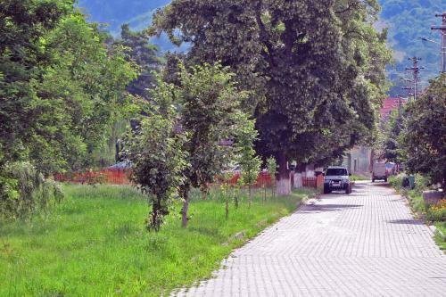 Apartamento Casa Nicu