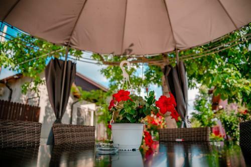 Hostal Pensiunea Happy Flowers