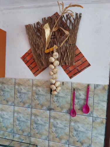 Hostal Pensiunea Paulisa