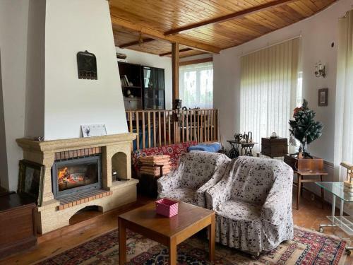 Villa Casa de Vacanta Adelina