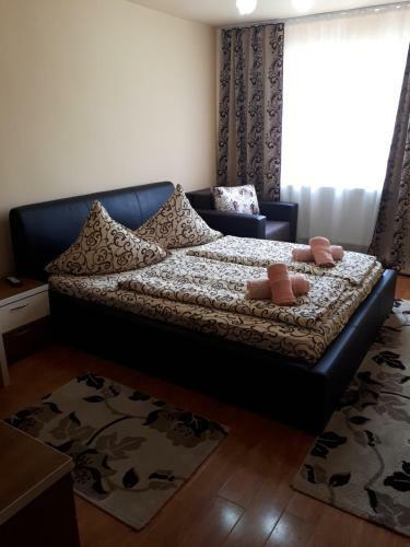 Hostal Pensiunea Adriana