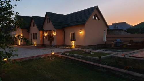 Hostal Pensiunea Brazi