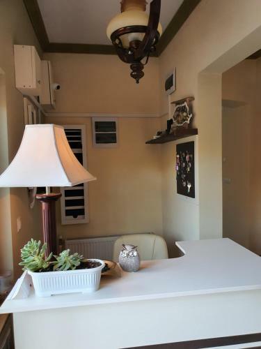 Hostal Pensiunea Brazi