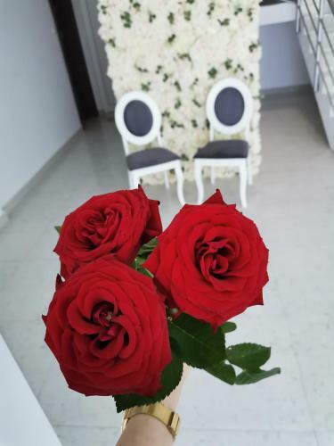 Hotel Vila Blue Salin ****