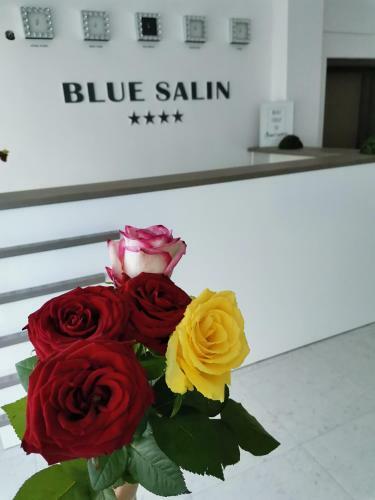 Hotel Vila Blue Salin ****