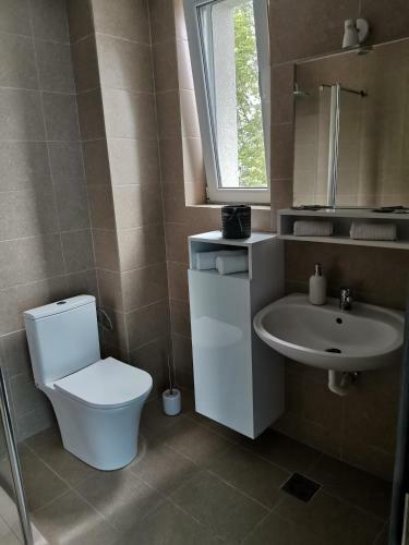 Hotel Vila Blue Salin ****