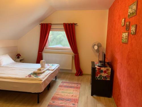 Hostal Dorf Haus Valiug