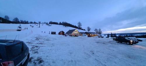 Hostal Sz�kelyvars�gi Fenyves Kuck�