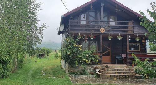 Lodge Cabana Valisoara