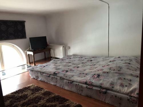 Apartament Andreea