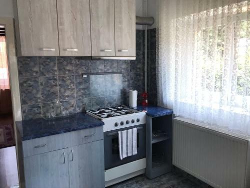 Apartament Andreea