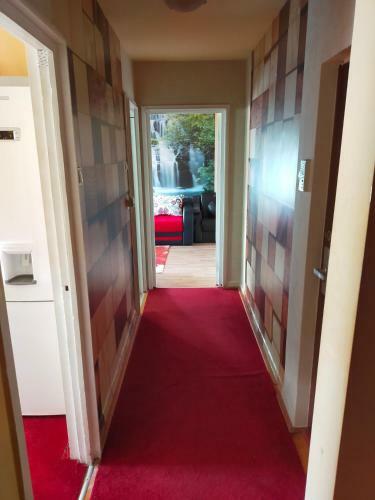E.m.y. Apartament