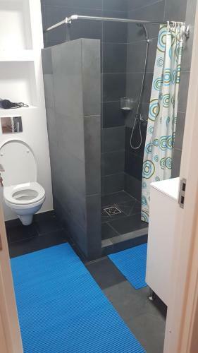 Apartament 1 Budiu