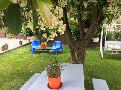 Casa de F�rias Mariceu Mirandela