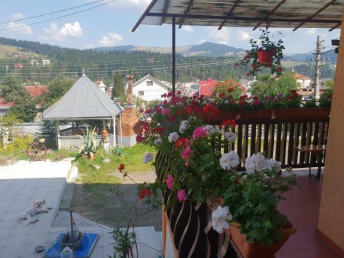 Hostal Pensiunea Monica