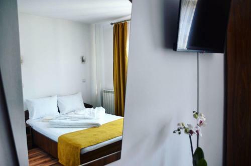 Hostal Vila Simina