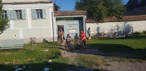 Apartamento Pensiunea Ramona