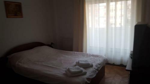 Apartament Central Vatra Dornei