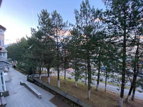 Apartamento Pin House