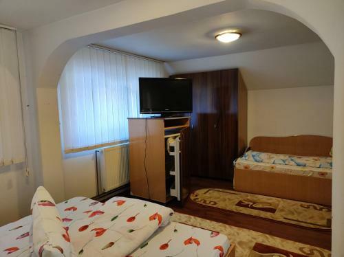 Lodge Vil? �n Voineasa - V�lcea