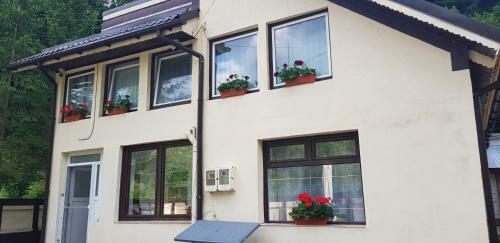 Lodge Vil? �n Voineasa - V�lcea