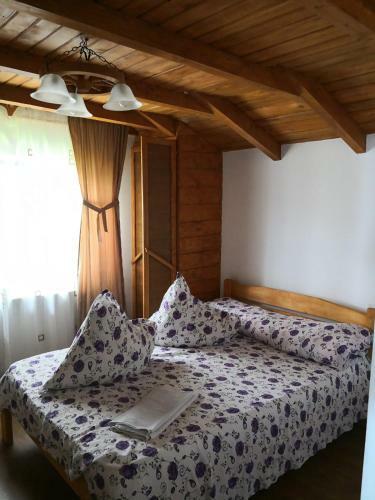 Hostal Casa de Vacanta Aurelia
