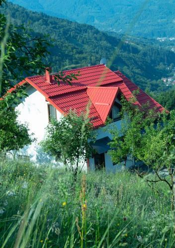 Casa Roman