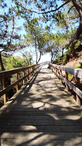 An�os Little House -sintra Countryside-