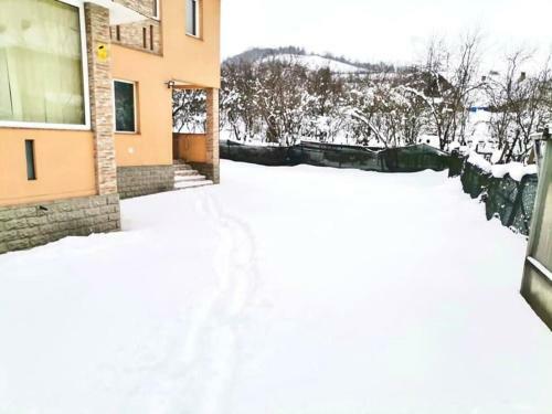 Bed & Breakfast Pensiunea Axenia Ale