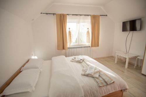 Bed & Breakfast Pensiunea Axenia Ale