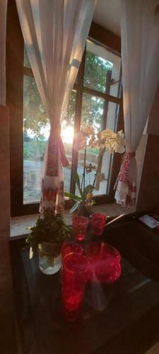 Hostal Pensiunea Alexandra