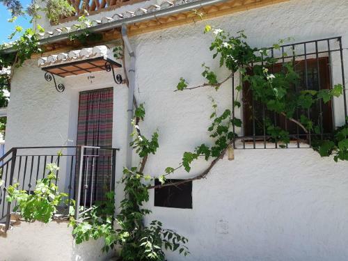 Apartamentos Cortijo Balzain