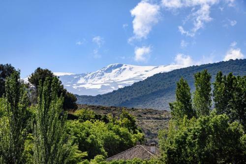 Apartamentos Cortijo Balzain