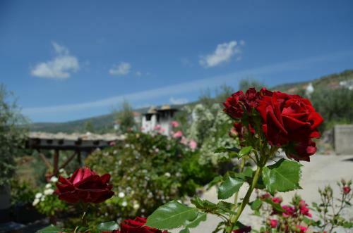 Apartamento Balc�n De V�lor - Centro De Turismo Rural