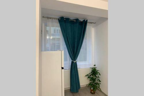 Cozy Studio Apartament Zalau
