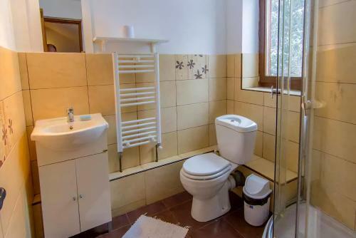 Charming Chalet Timisul De Sus