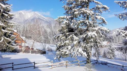 Charming Chalet Timisul De Sus