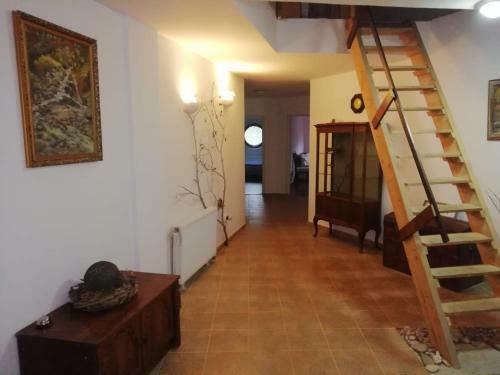 Hostal Domurile Din Z?rne?ti