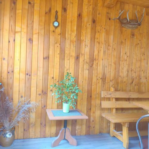 Hostal Casa Piatra Craiului