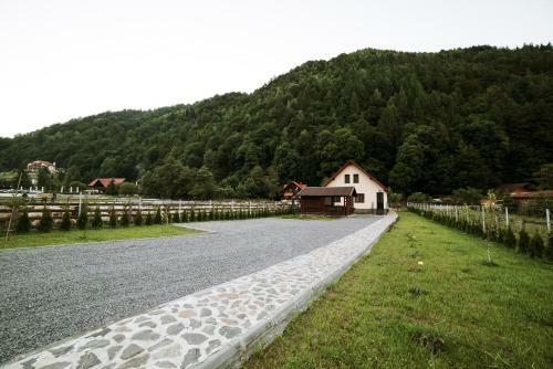 Villa Gold House