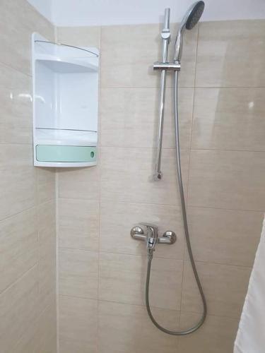 Apartament Alina