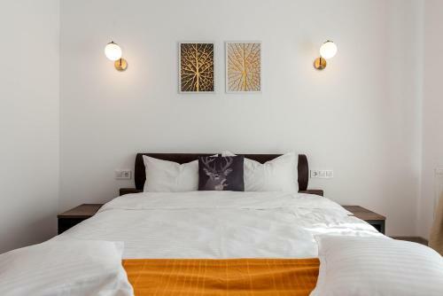 Hostal Belmont Voronet