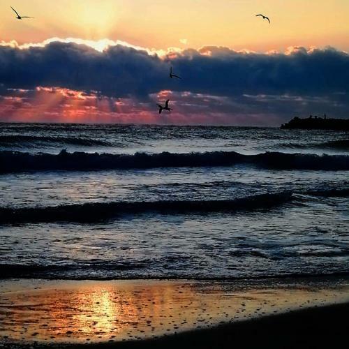 Hotel Pam Beach Resort