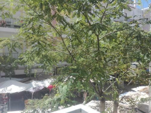Apartamento Eanes 22 Beach House