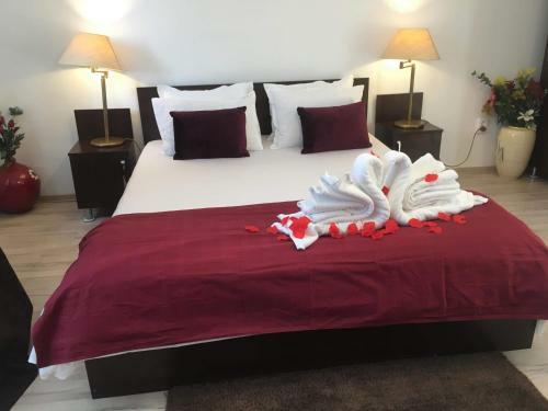 Hostal Casa Lions