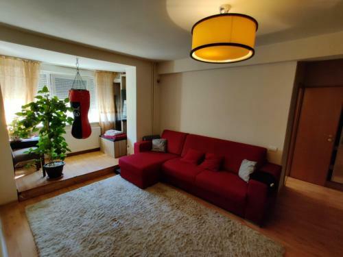 Apartamento Lucky Home Timisoara 1