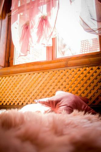 Apartamento 9 Stylish Suite In Unirii Square
