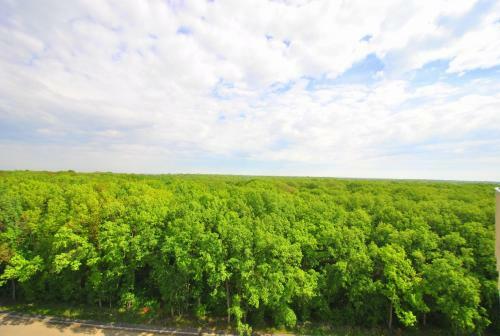 Apartamento Adora Forest