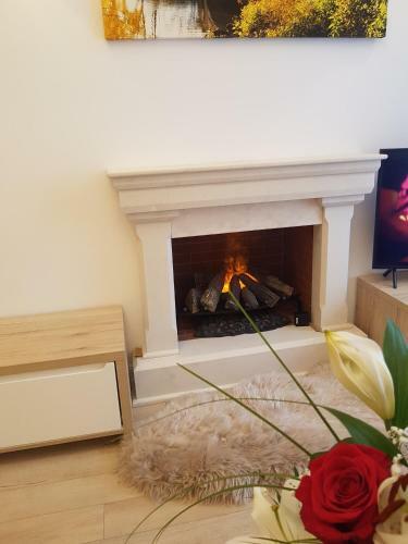 Deluxe Downtown Apartment Timisoara