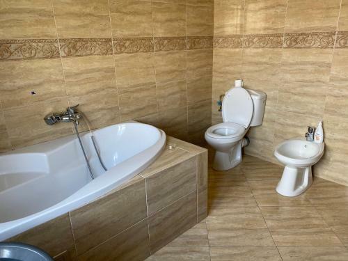 Apartament Modern